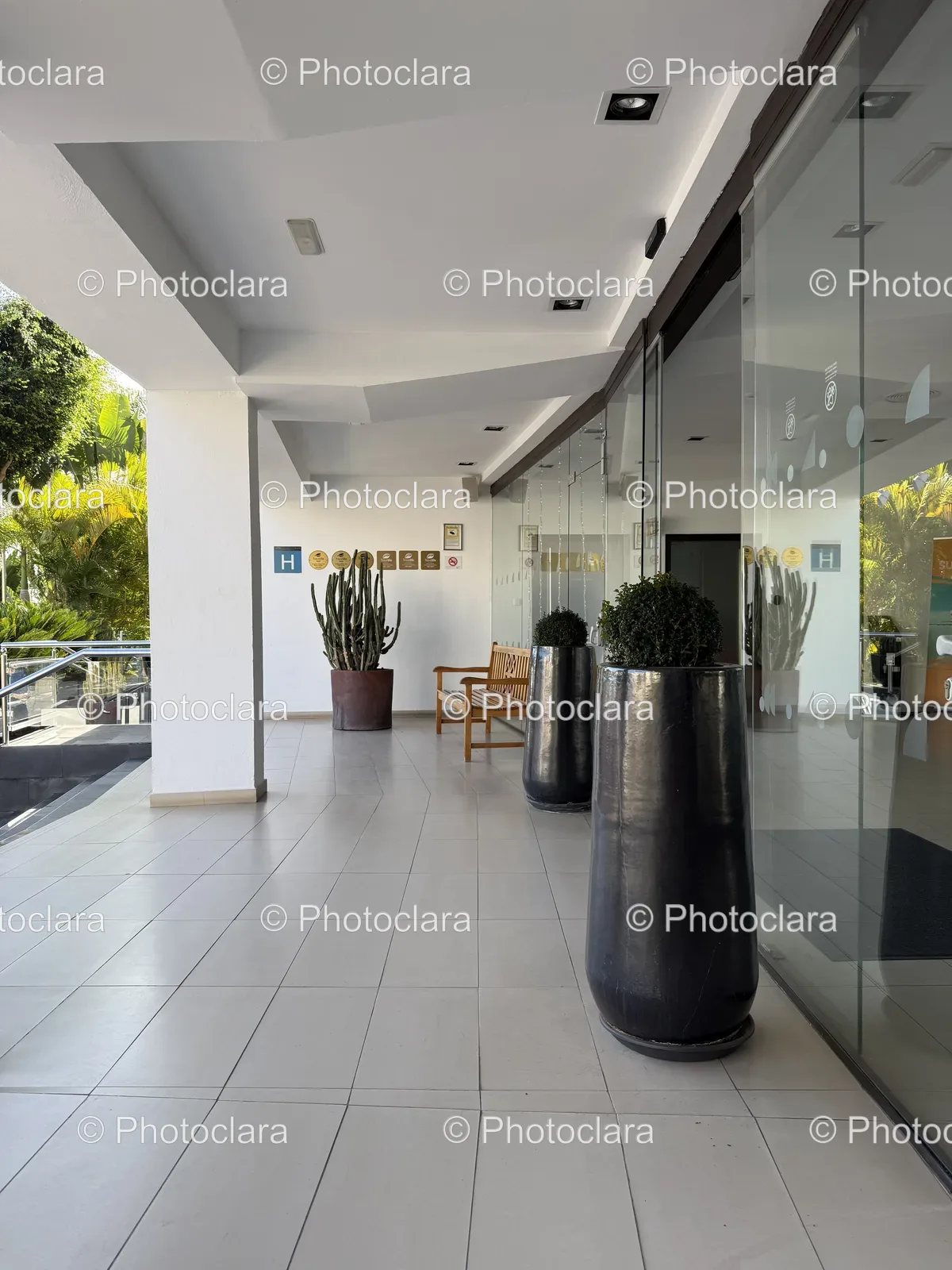 Elegant-Lobby-Design-Large-Potted-Plants.jpg