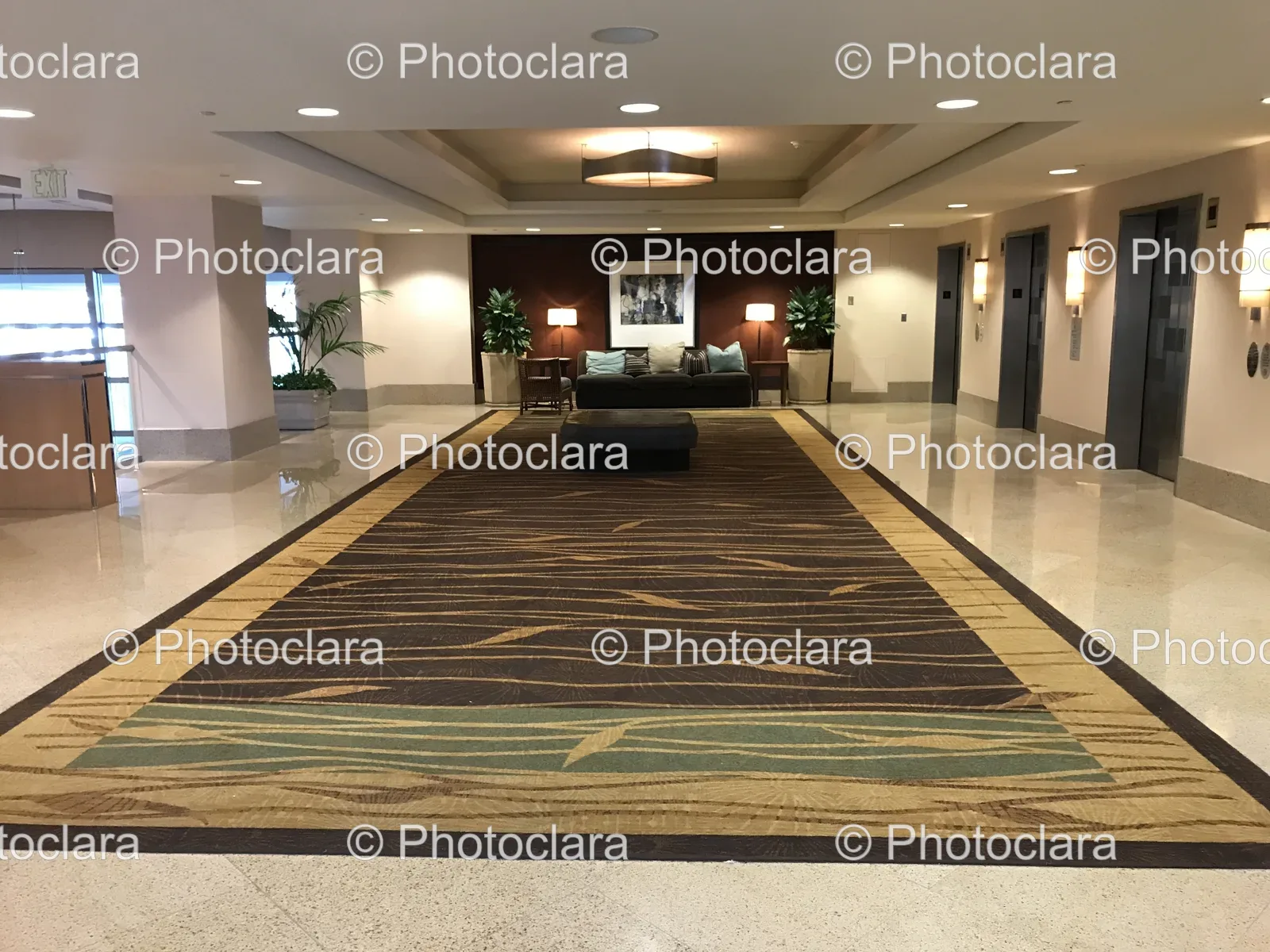 elegant-lobby-with-couch-and-rug.jpg