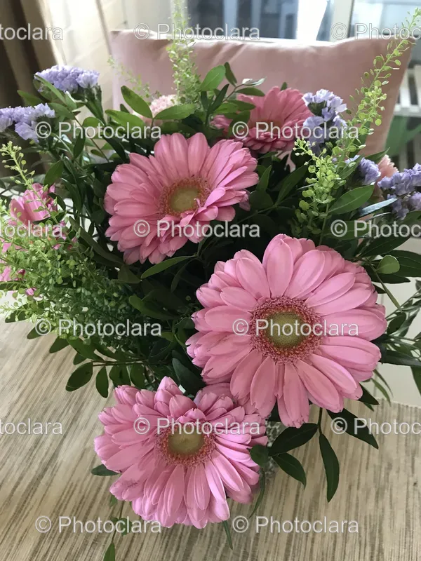 Indoor Plants and Decor