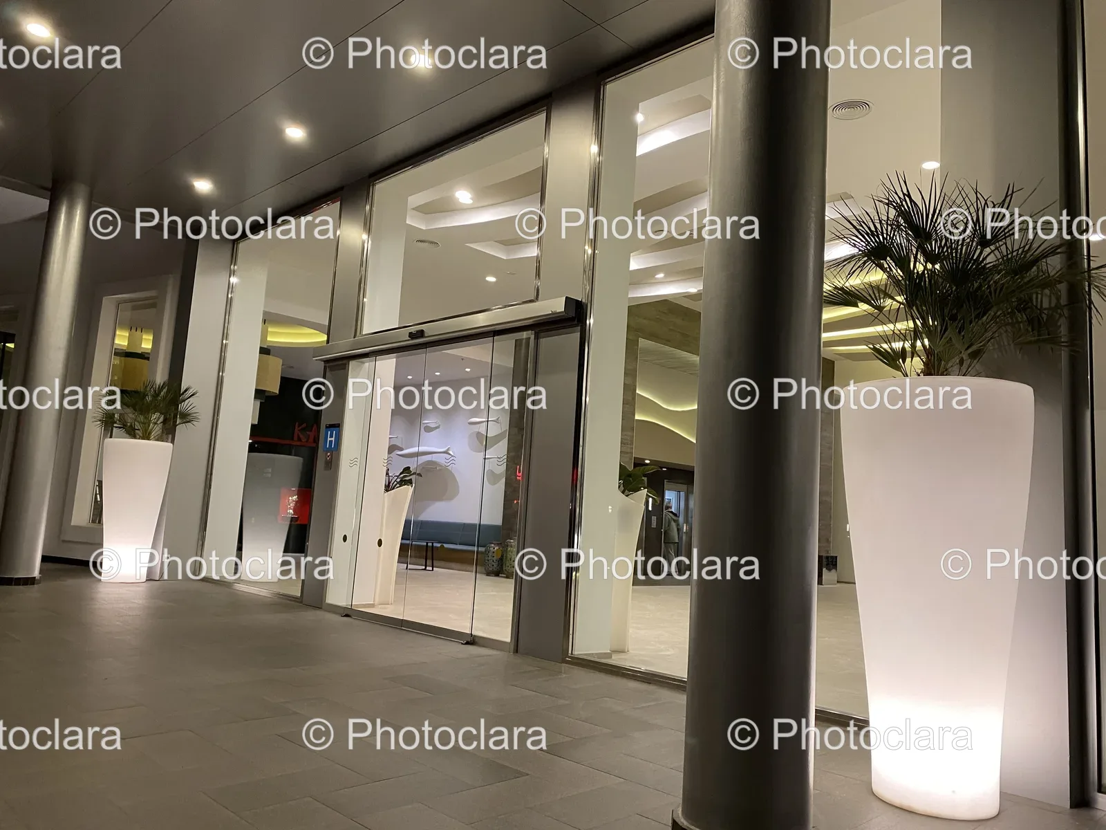 elegant-glass-door-with-plant.jpg