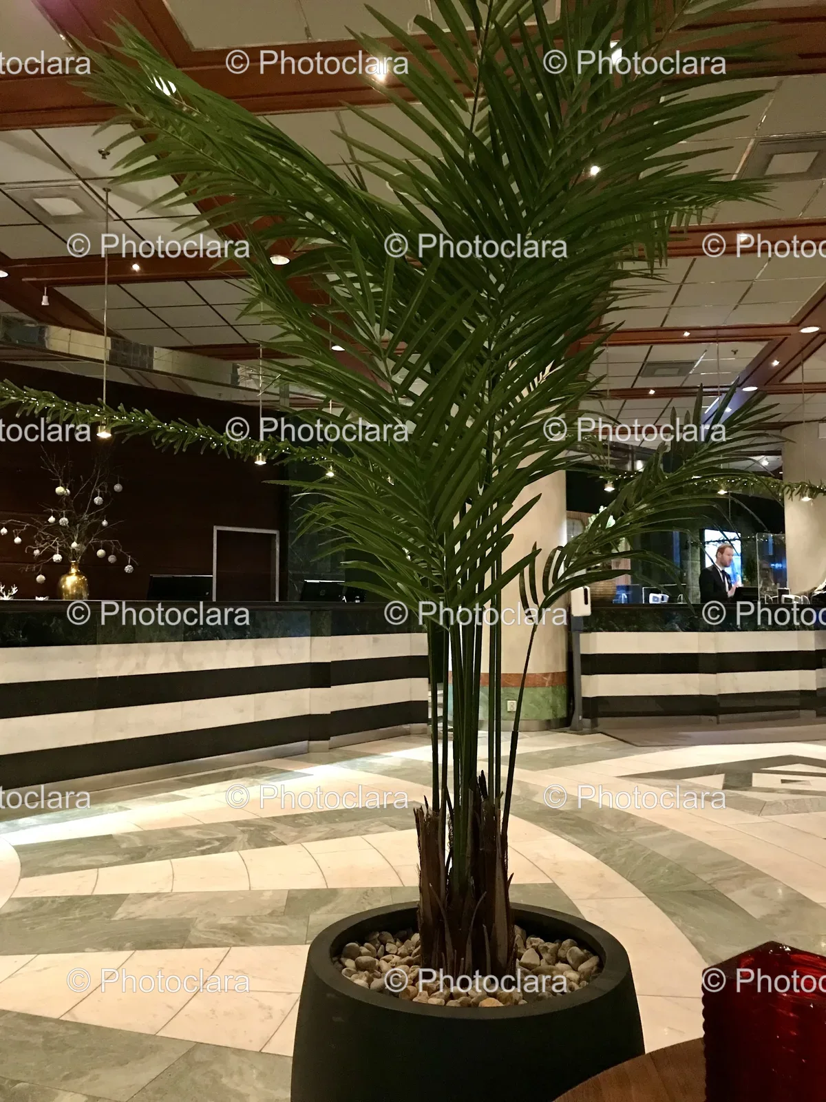 Elegant-Palm-Tree-in-a-Modern-Room.jpg