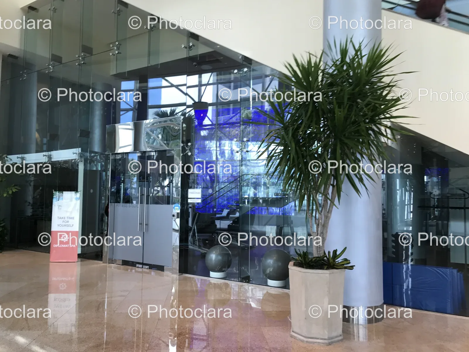 potted-plant-in-glass-building-lobby.jpg