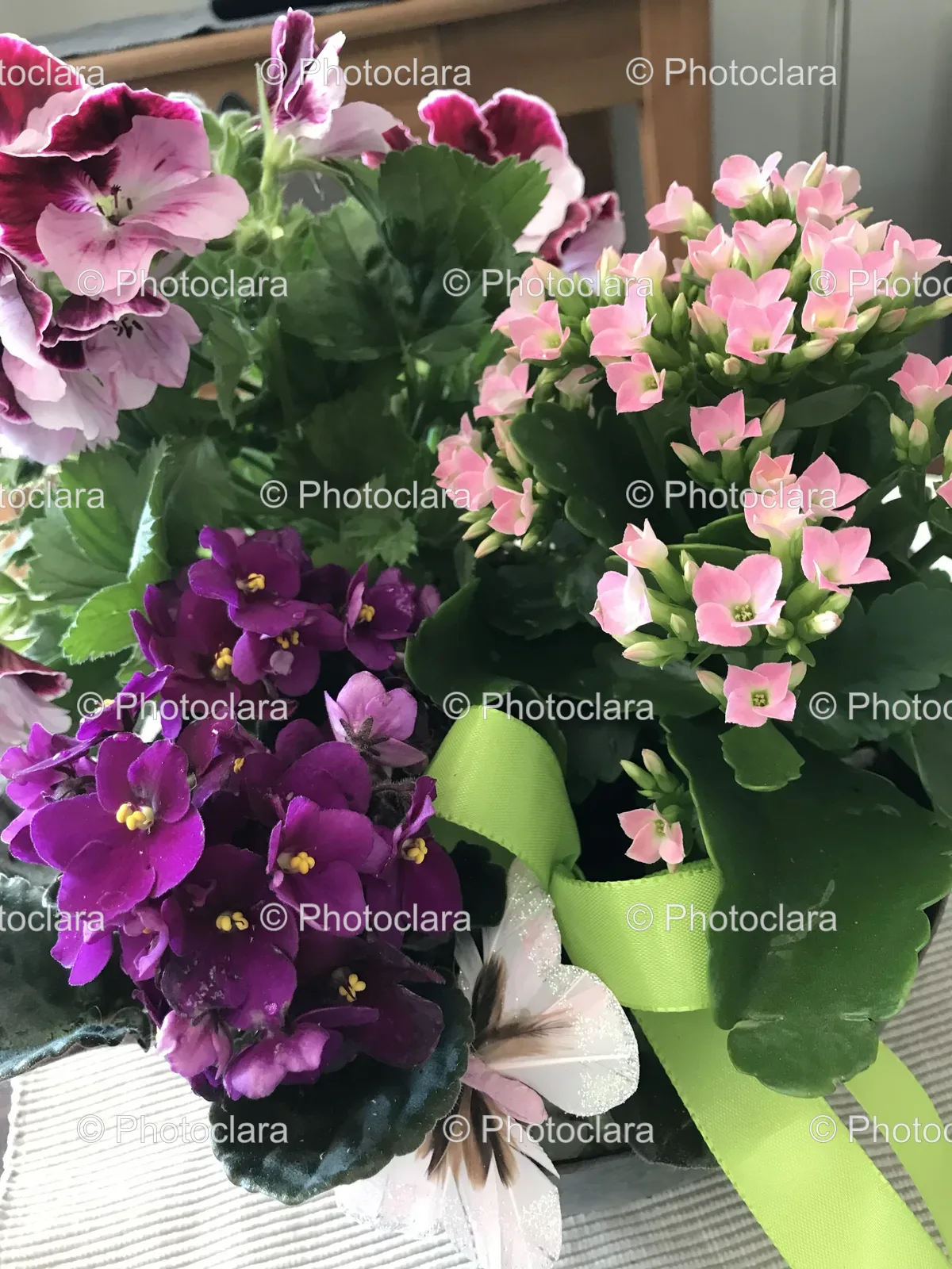 vibrant-flower-pot-display.jpg