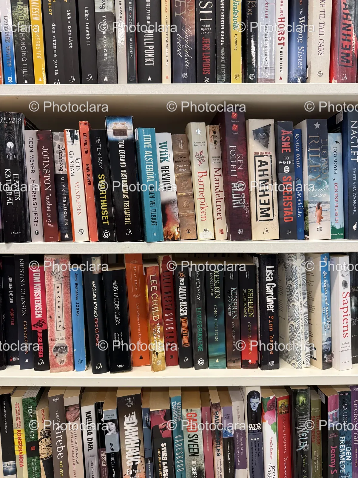 A Cozy Bookshelf Collection