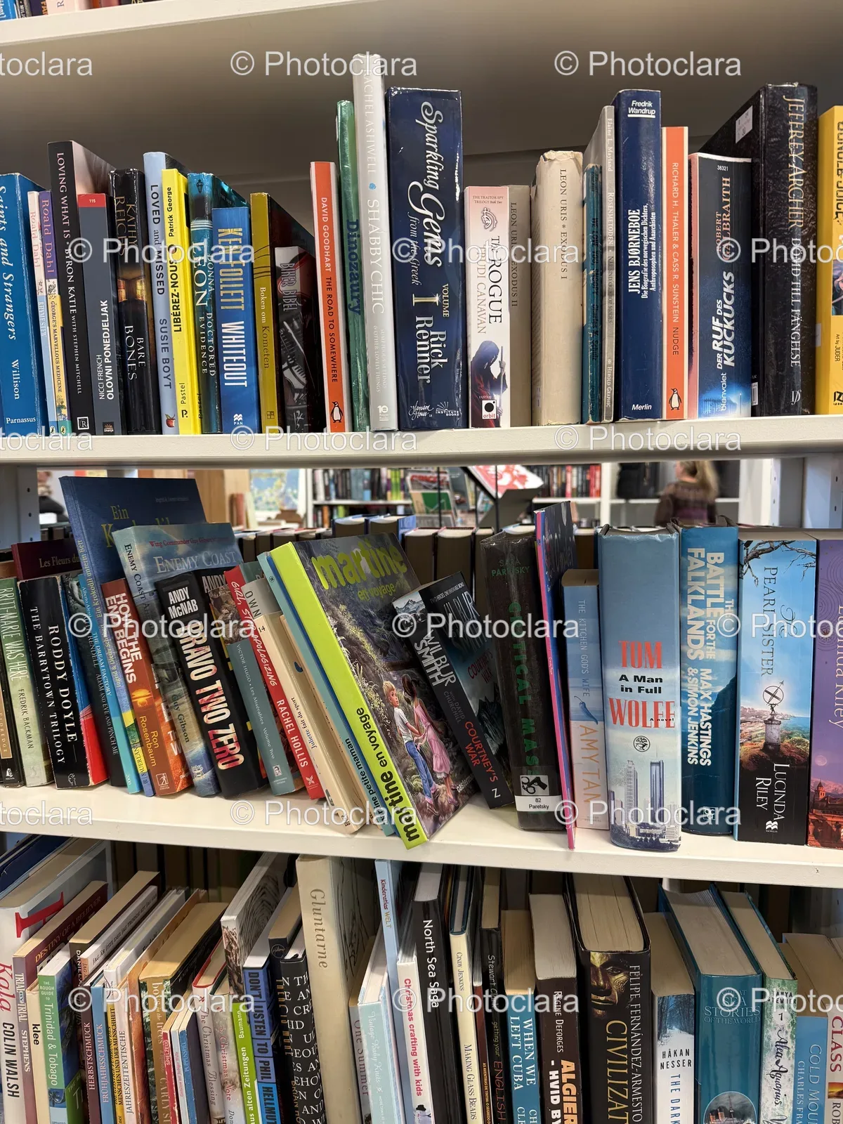 Shelved Books Assortment