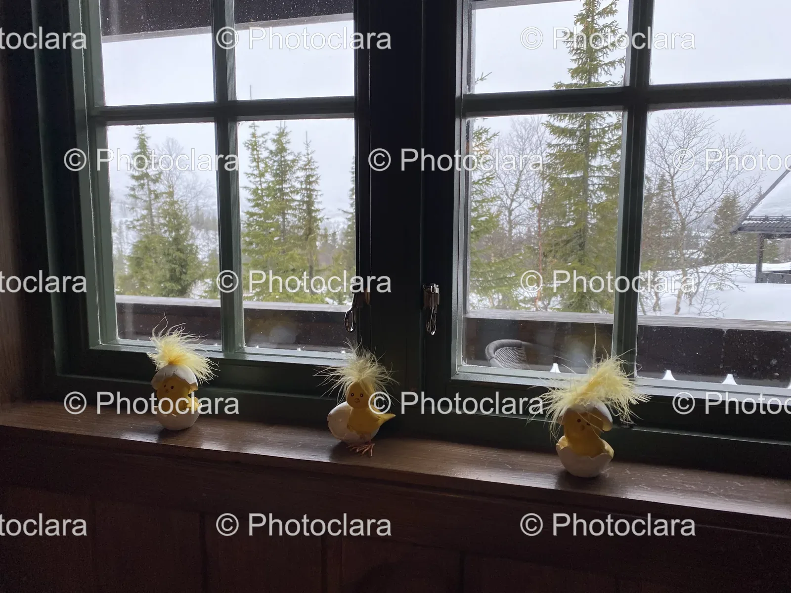 Adorable-Yellow-Toy-Chicks-on-a-Window-Sill.jpg