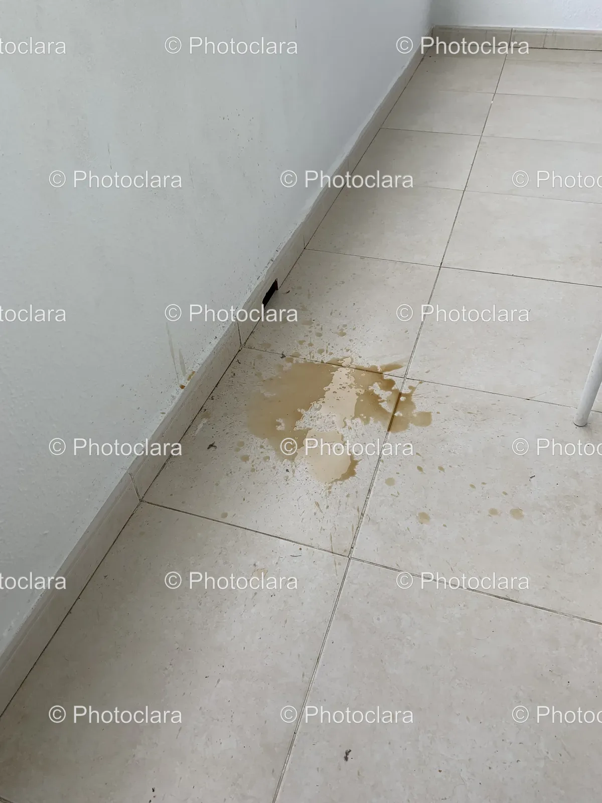 Stain-on-Floor-Indoor-Space.jpg