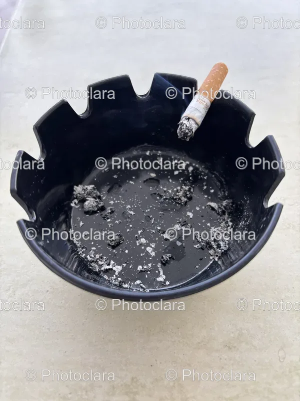 Miscellaneous Items