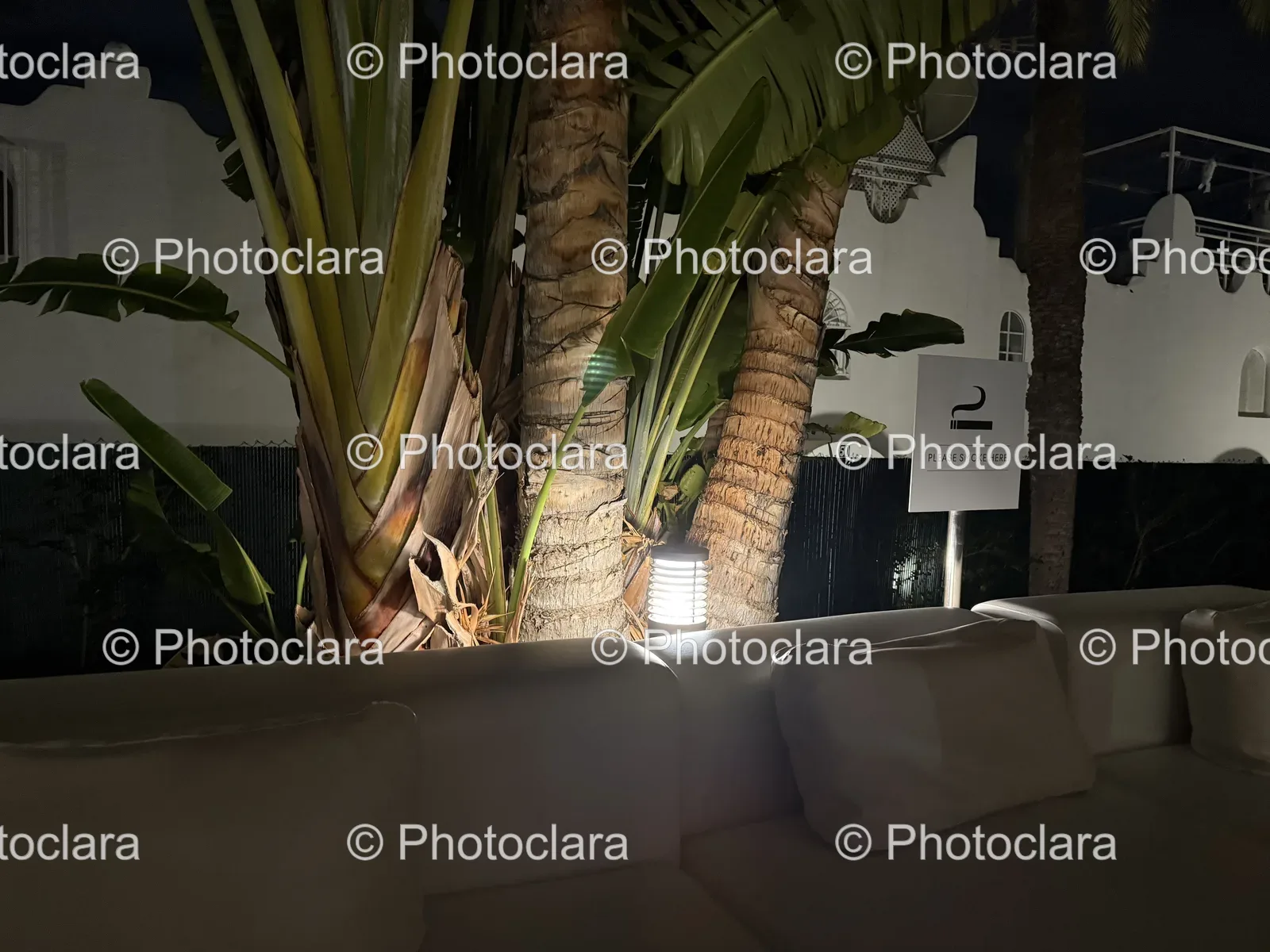 Couch-Palm-Trees-Night-Smoke-Here.jpg