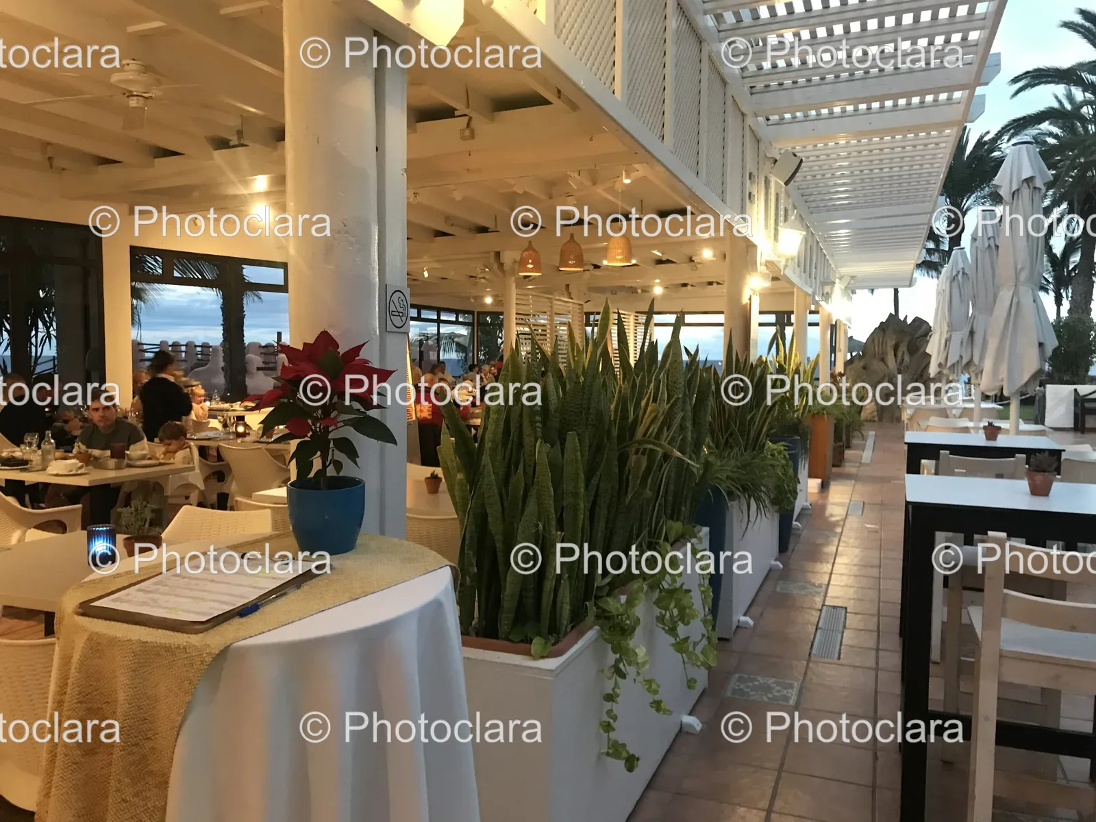 White-Covered-Patio-With-Tables-And-Plants.jpg