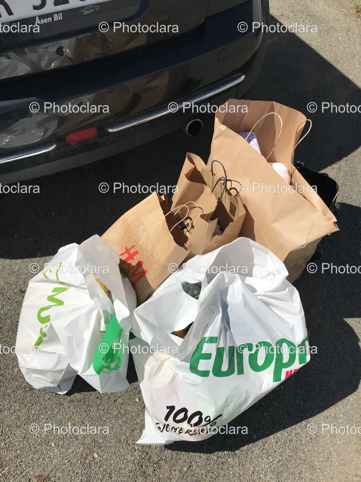 Bags-Next-to-Car-and-Recycling-Signs.jpg
