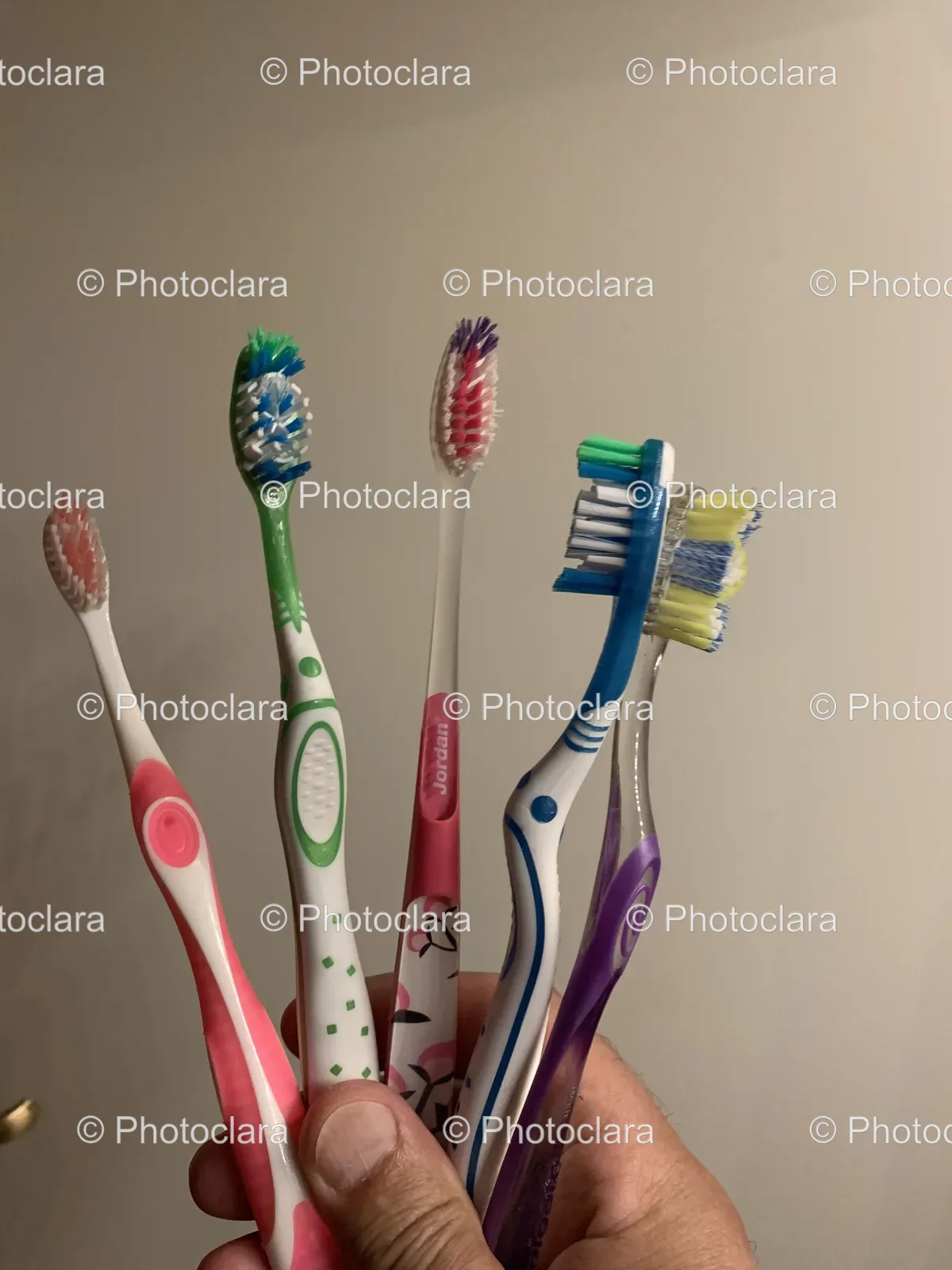 Hand-Holding-Group-of-Toothbrushes.jpg