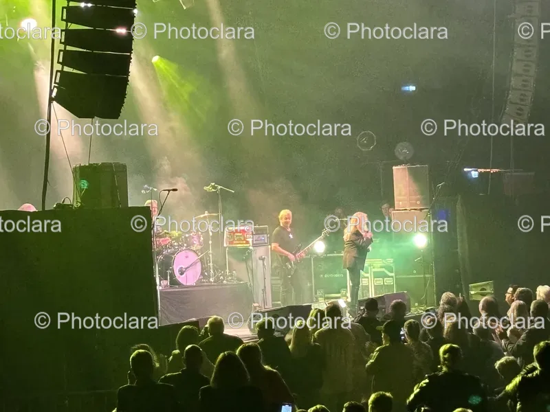 Live Concerts
