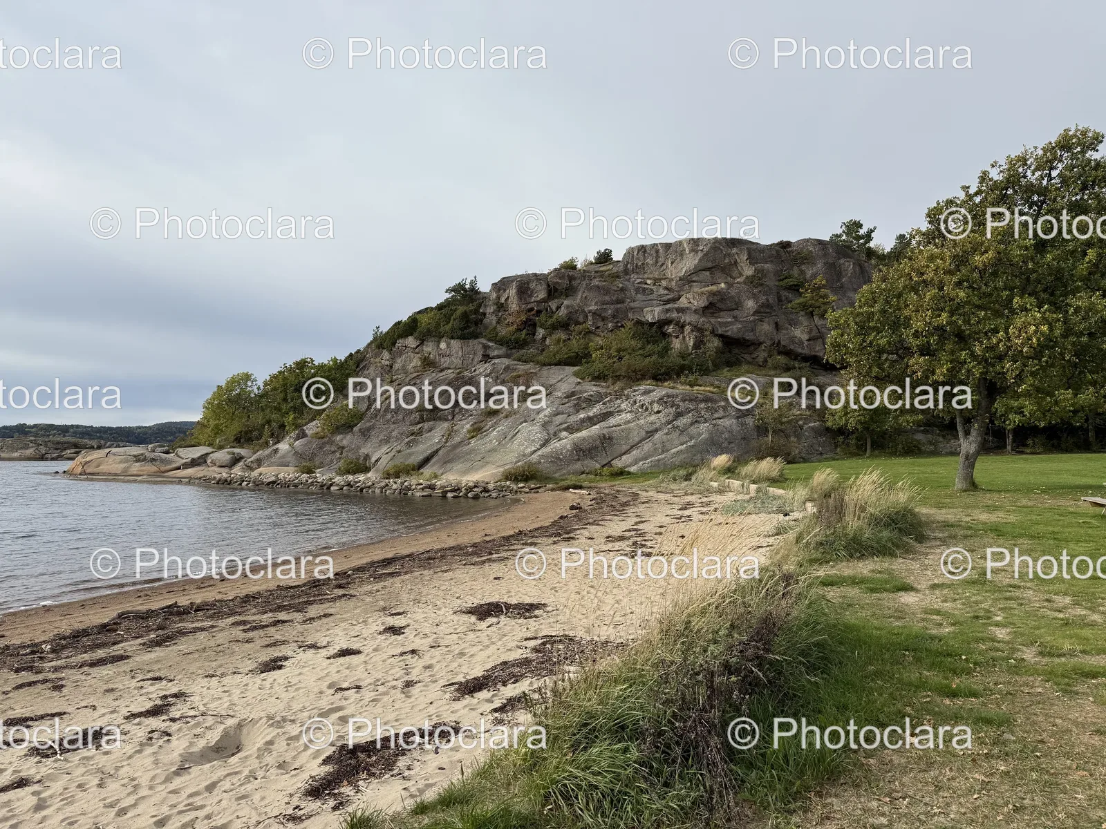 rocky-cliff-beach-with-trees.jpg