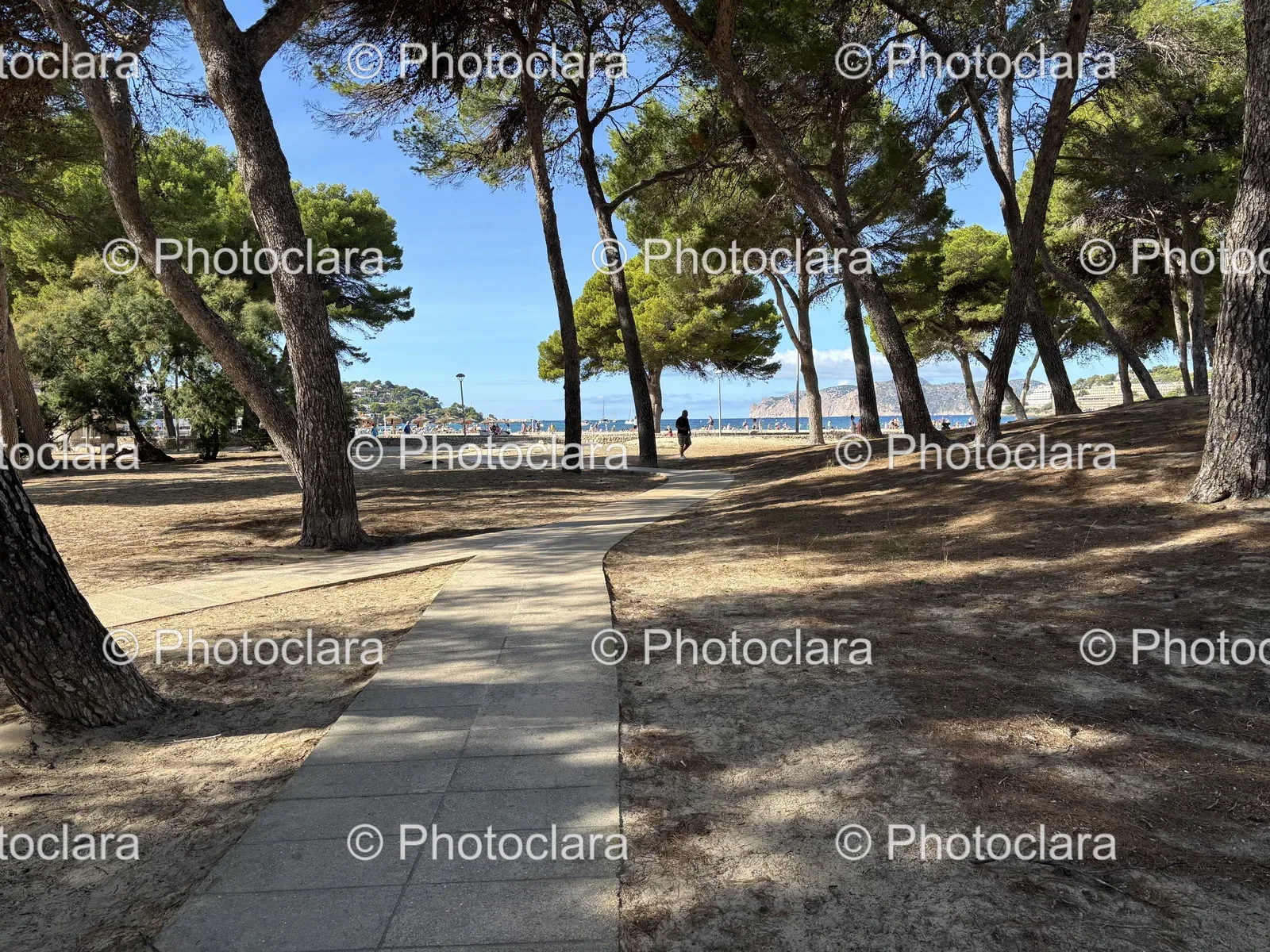 Tranquil-Pathway-by-the-Sea.jpg