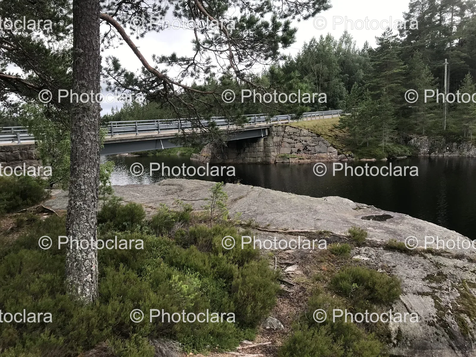 Bridge-Over-Tranquil-Water.jpg