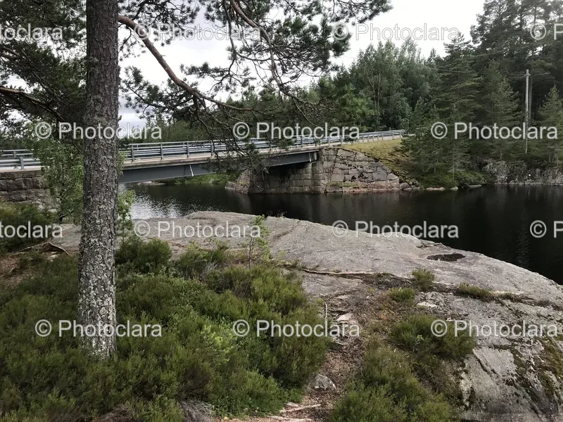 Bridges and Water