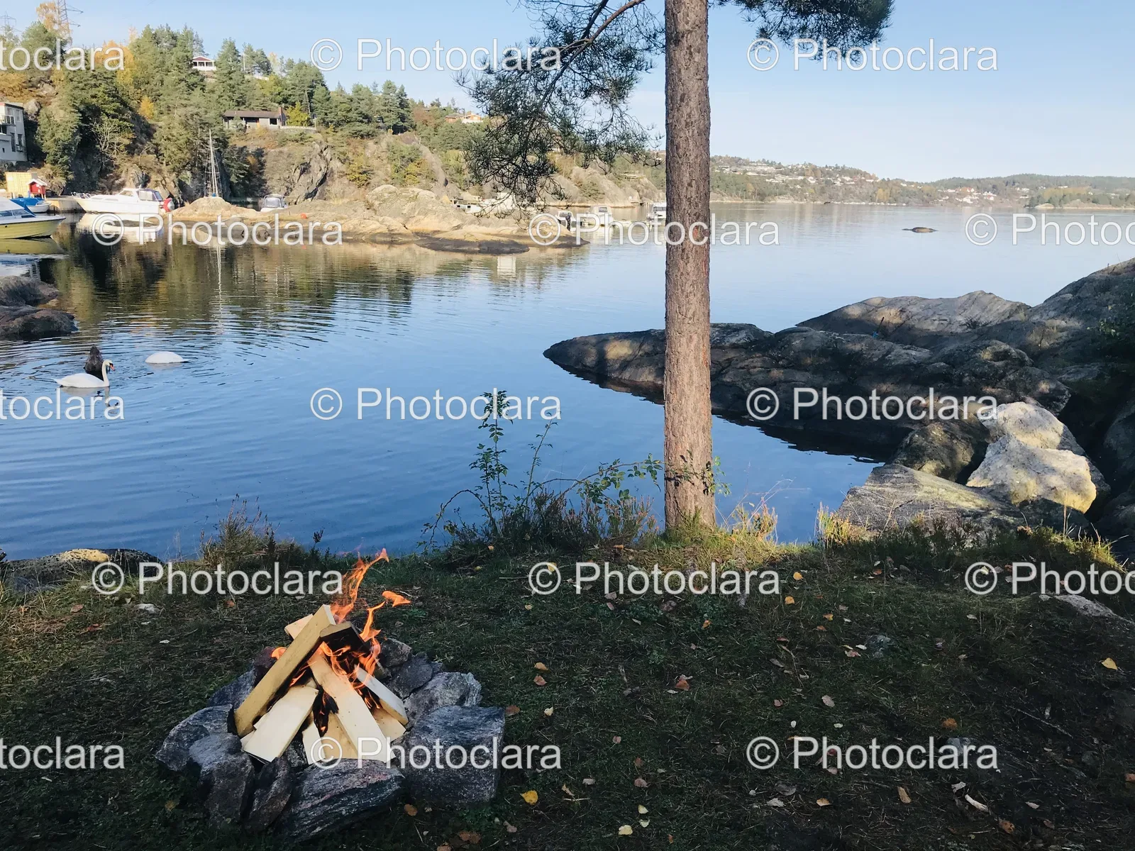 Campfire-by-the-Lake.jpg