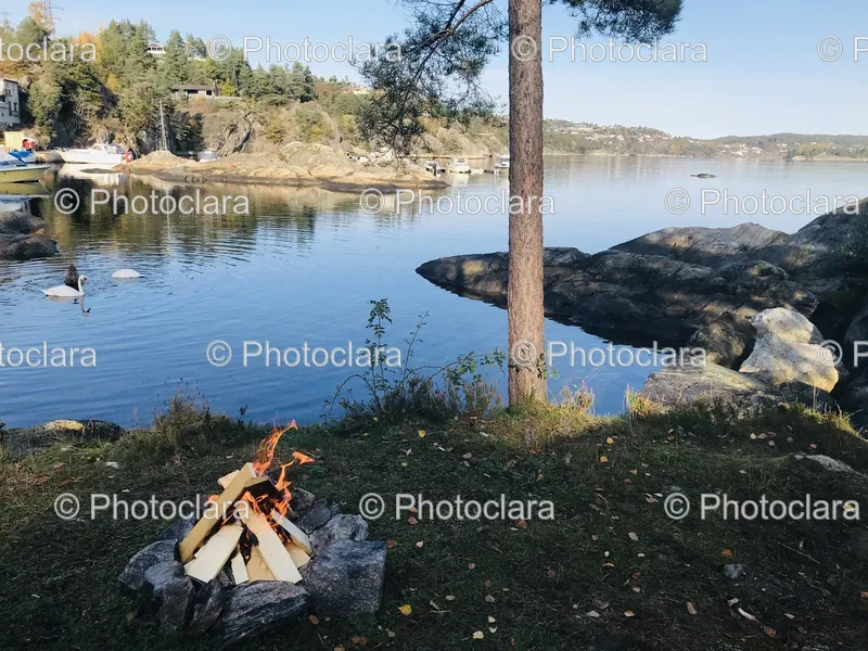 Campfire and Water Views