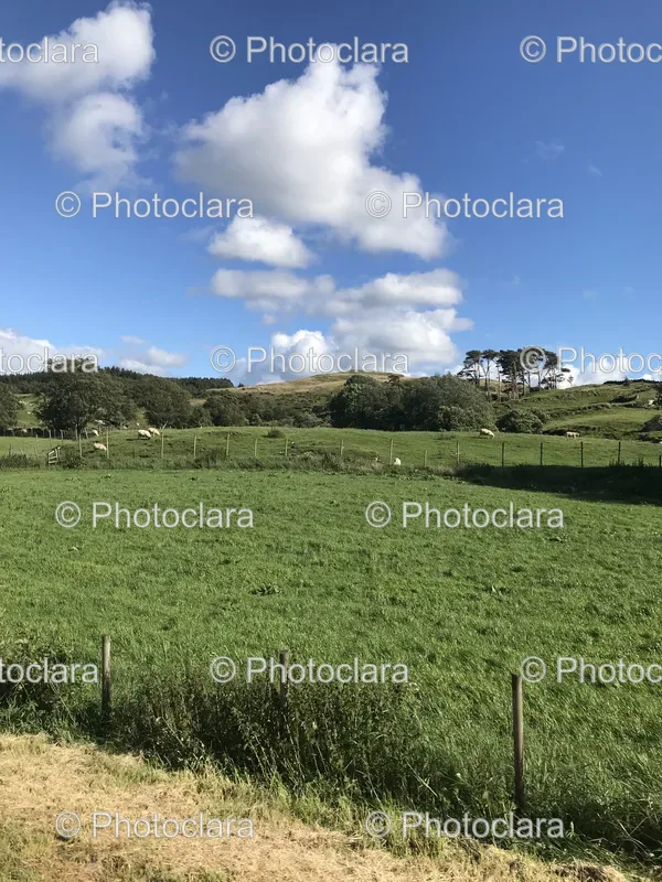 Countryside and Farmlands