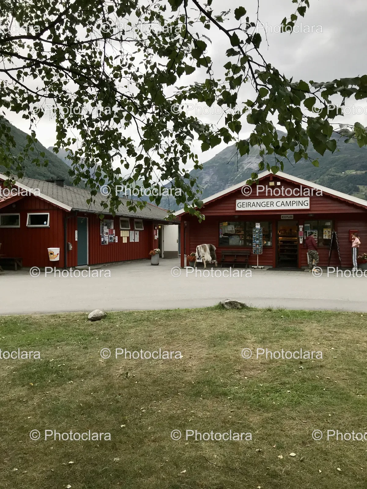 red-building-cows-geiranger-camping.jpg