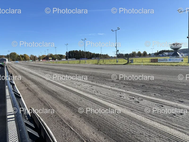 Dirt Tracks and Tire Marks