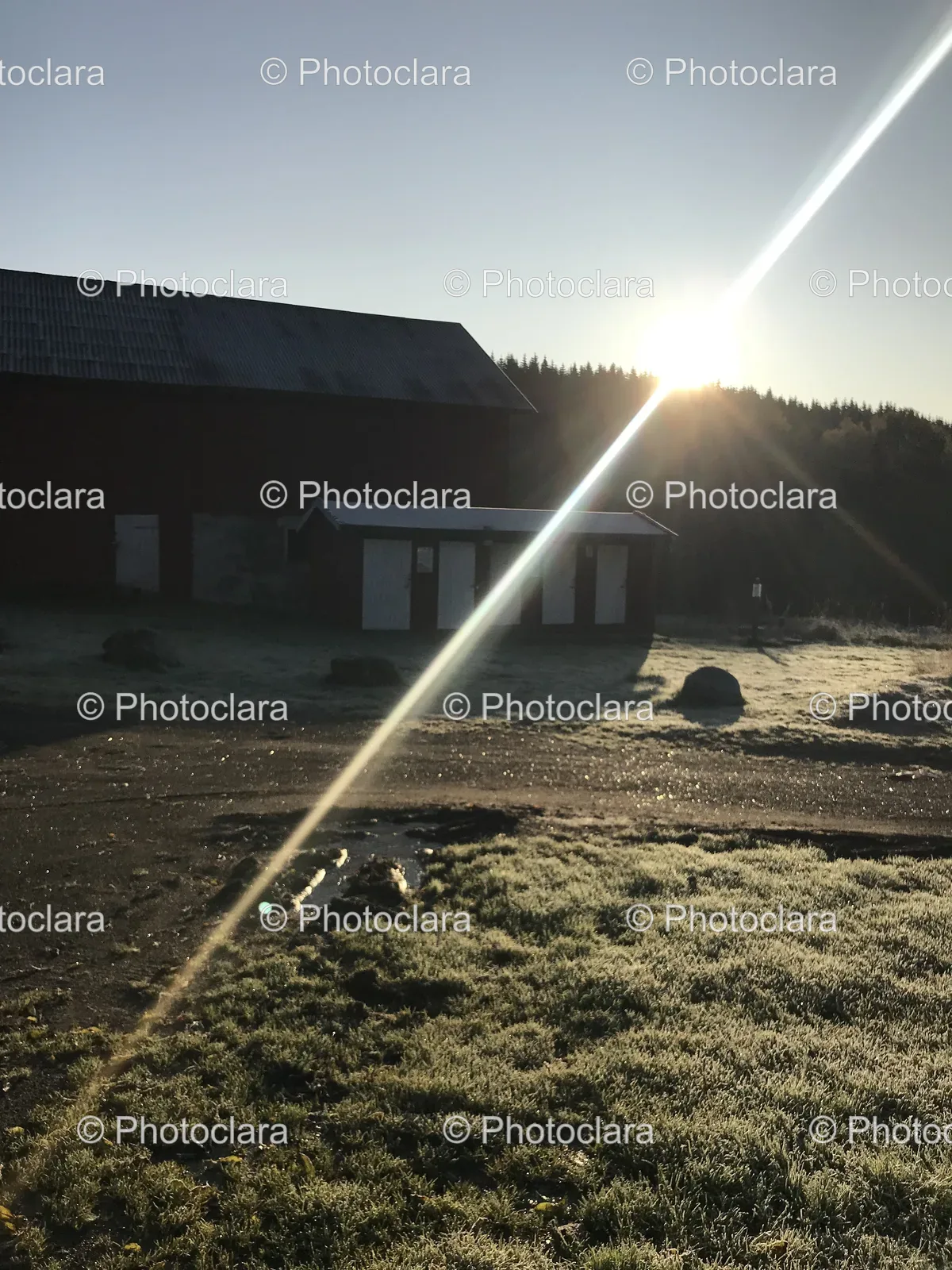 sunrise-over-field.jpg