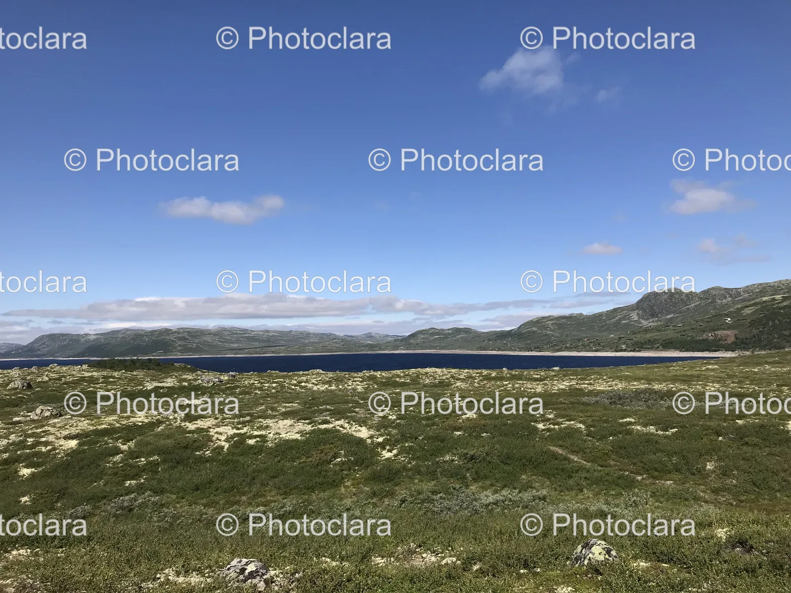 Tranquil-Grassy-Field-by-the-Water.jpg