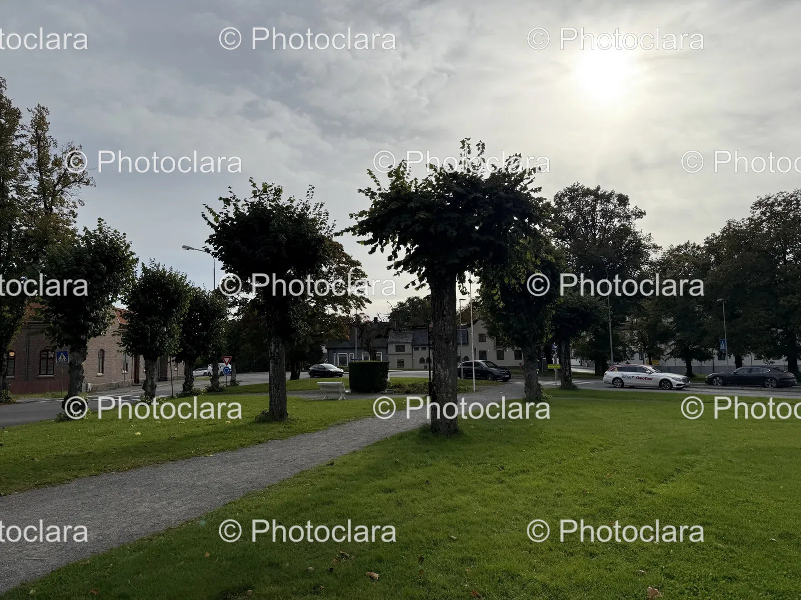 Grass-Field-with-Trees-and-Road.jpg