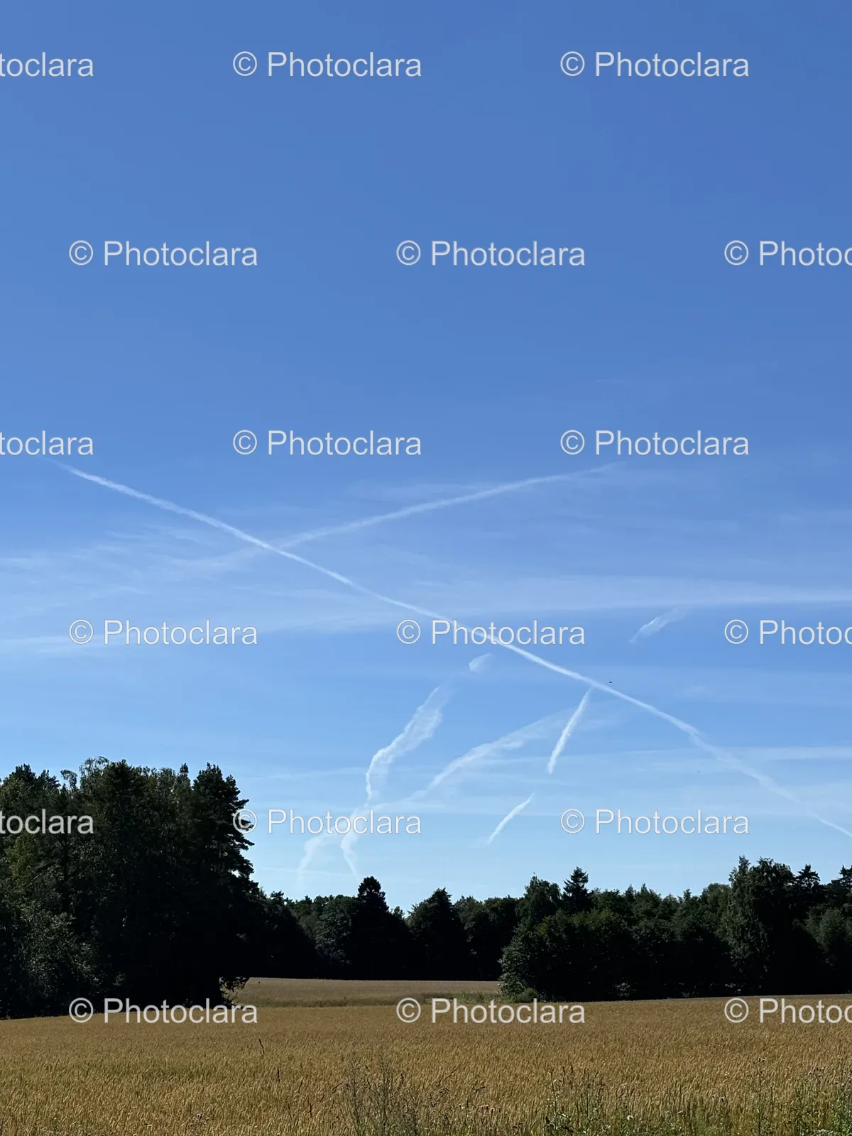 peaceful-field-with-clear-blue-sky.jpg