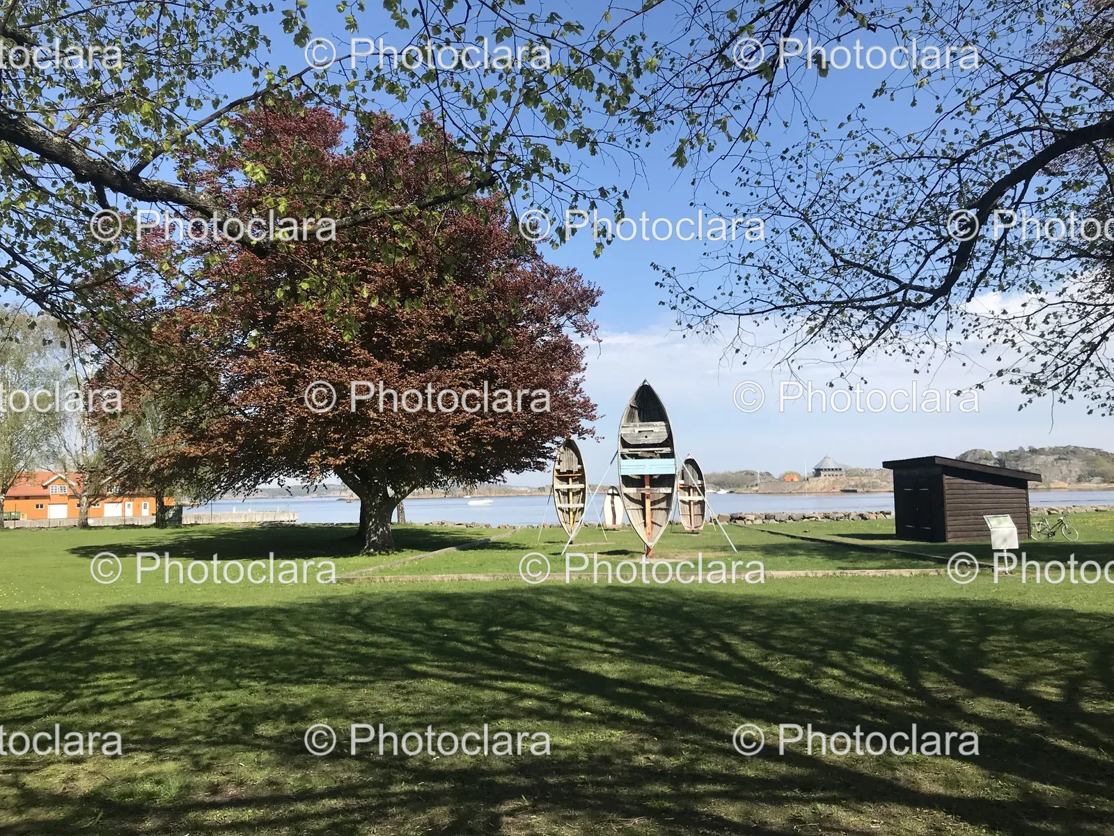 Scenic-Tree-and-Building-View.jpg