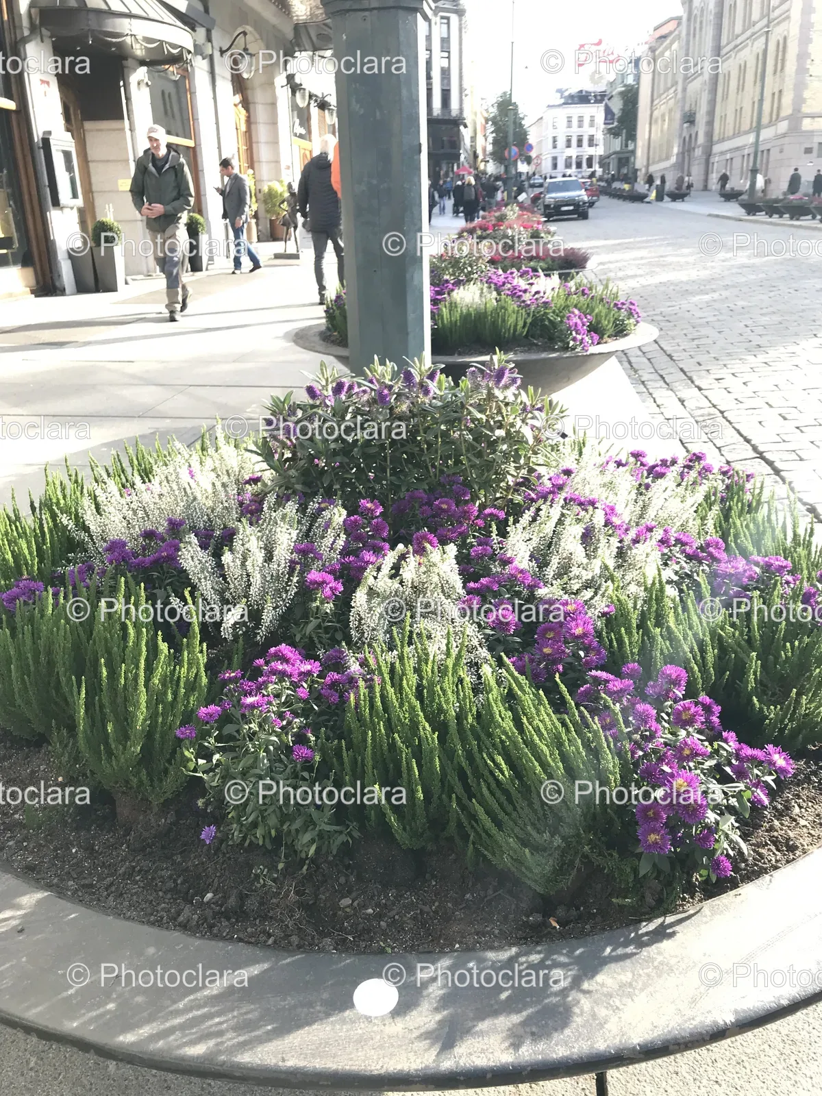 circular-floral-arrangement-urban-setting.jpg