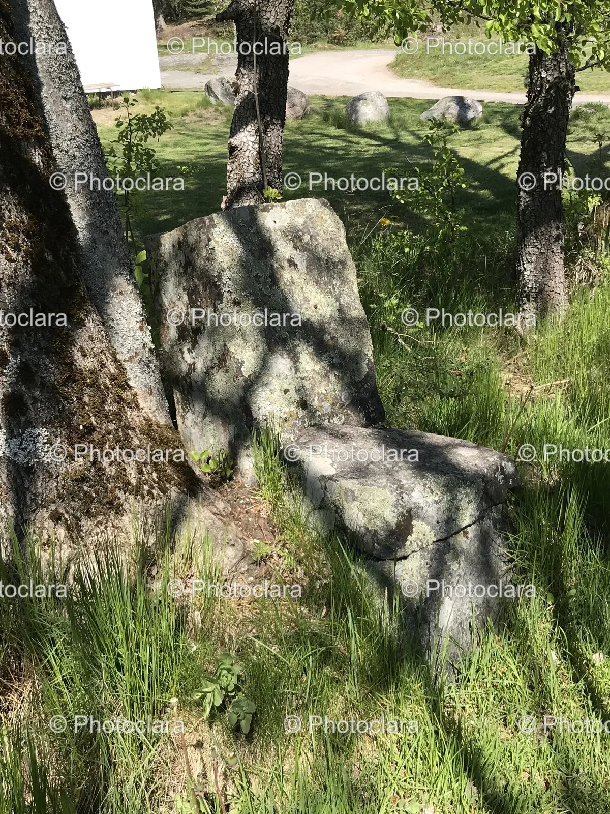 rock-chair-serene-forest.jpg