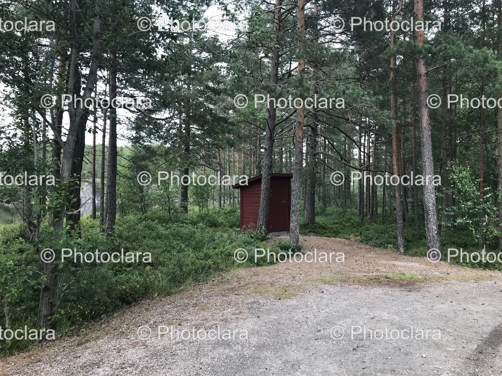 Small-Shed-Woods.jpg