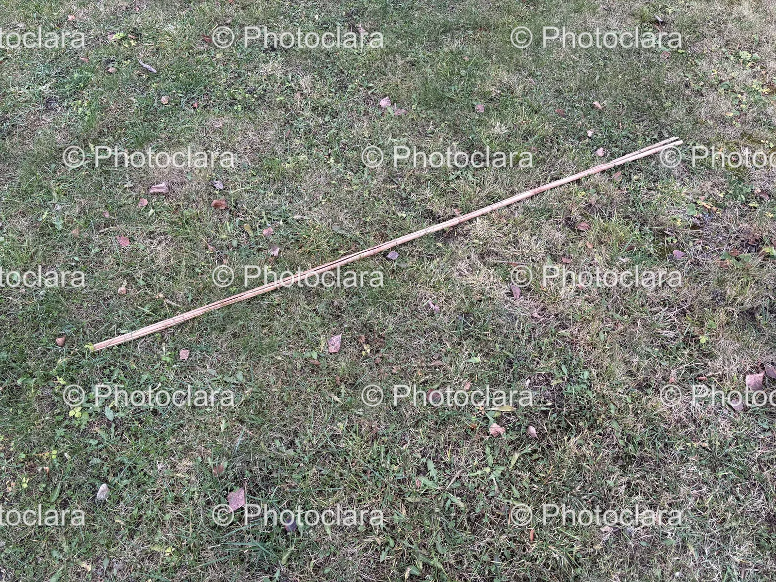 a-stick-in-the-grass.jpg
