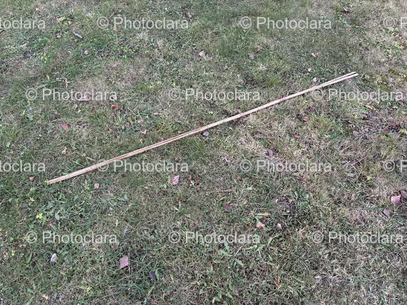 Grasslands and Fields