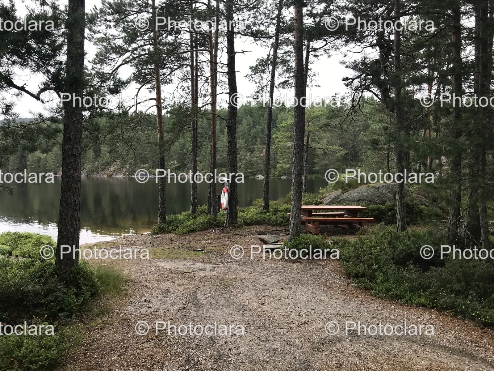 Serene-Picnic-Table-by-the-Lake.jpg