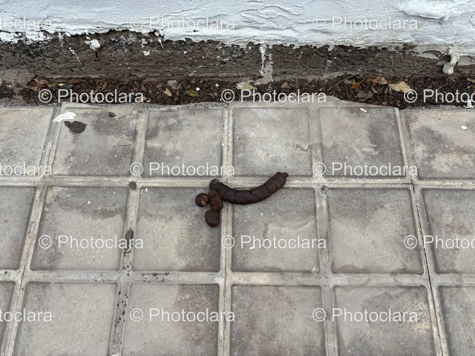 Rusty-Object-on-Concrete-Ground.jpg
