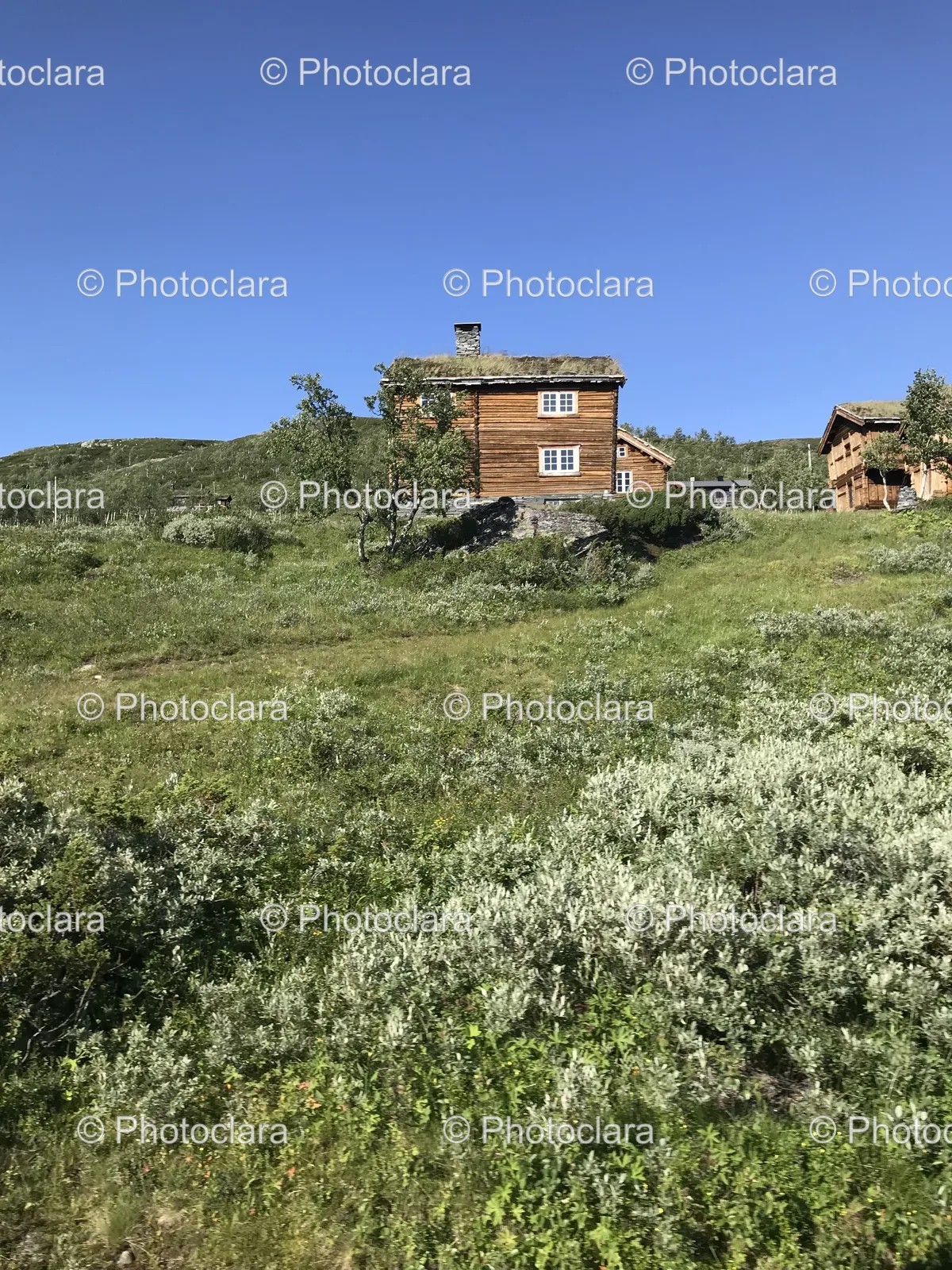 House-on-a-Hill.jpg