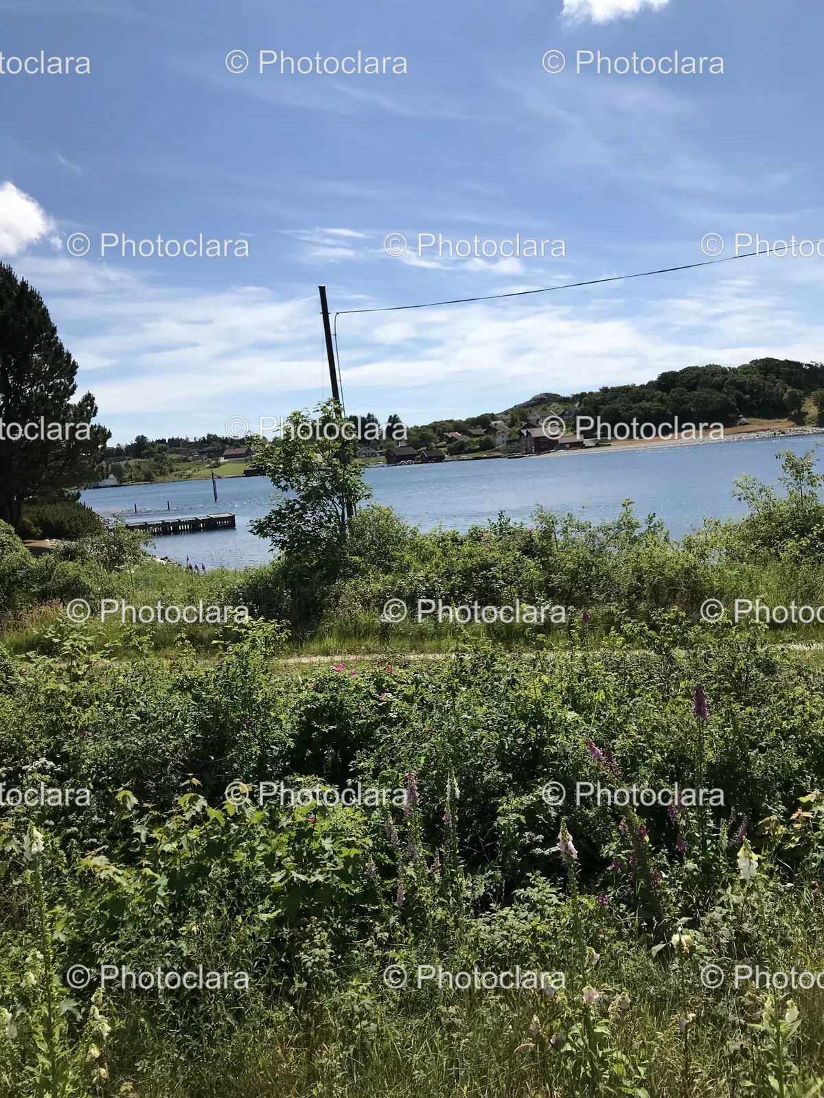 tranquil-lake-with-flowering-meadow.jpg