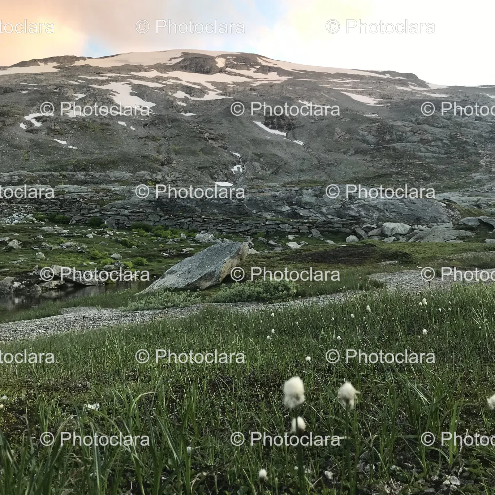 Grassy-Field-Snow-Capped-Mountain.jpg
