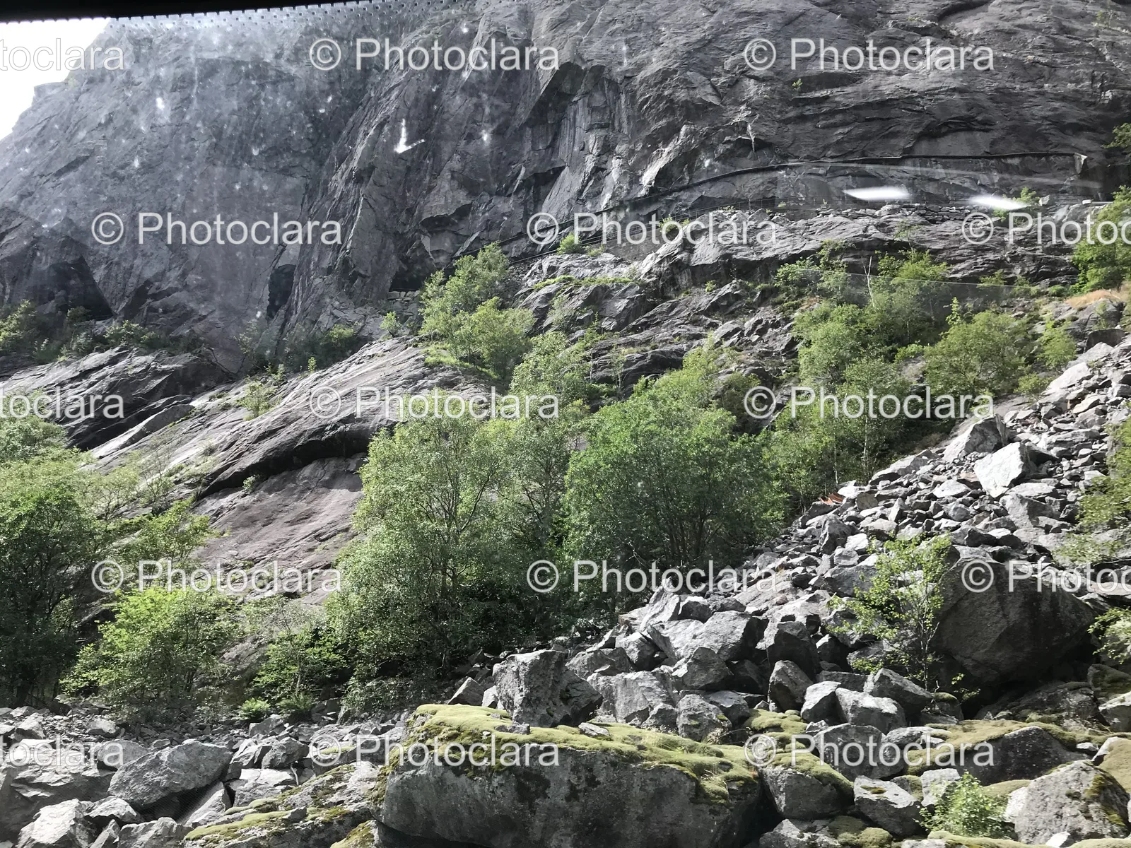 Rocky-Mountain-with-Trees-and-Rocks.jpg