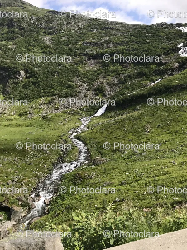 Mountain Streams