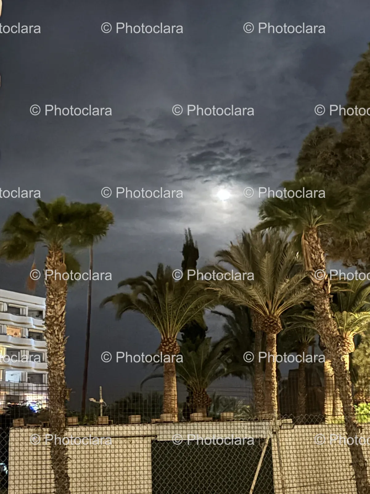 Palm-Trees-and-Architecture-with-Sky.jpg