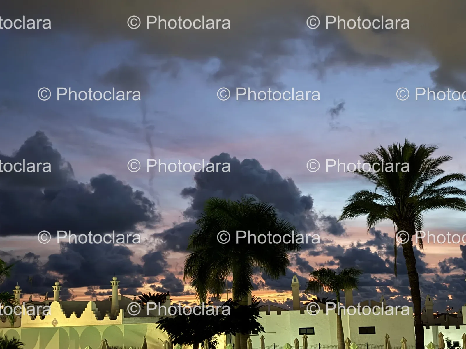 palm-trees-building-cloudy-sky.jpg