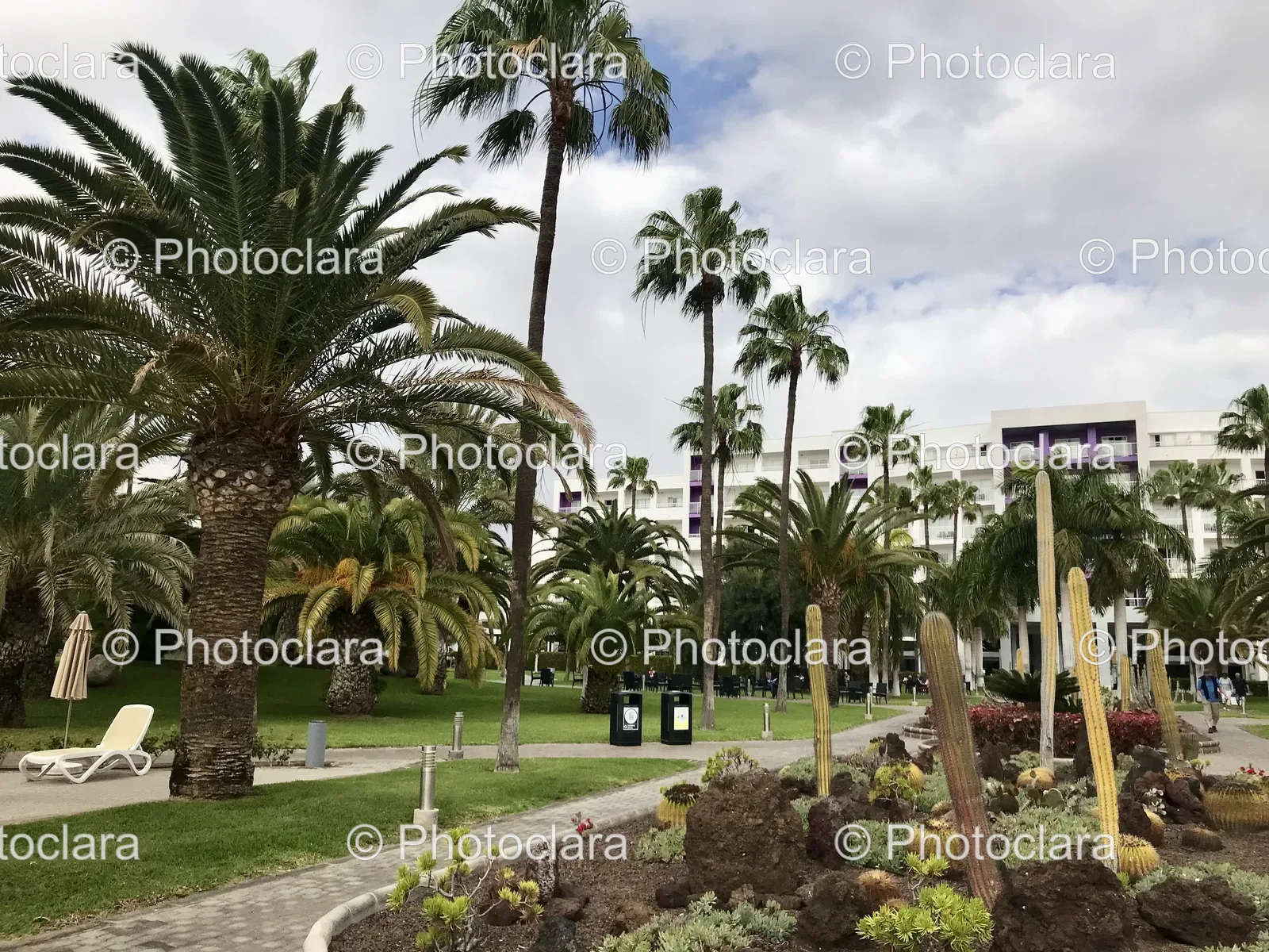 sunny-day-with-palm-trees-and-building.jpg