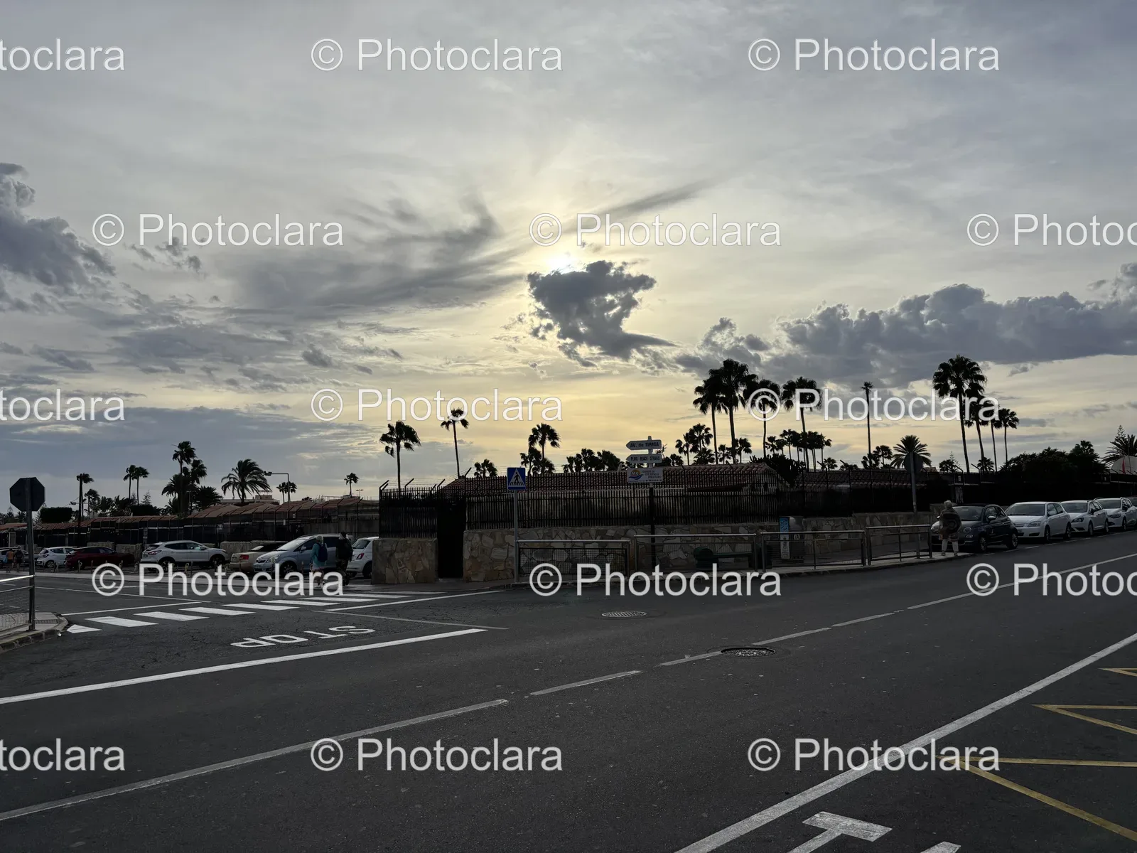 Palm-Trees-Street-Under-Cloudy-Skies.jpg