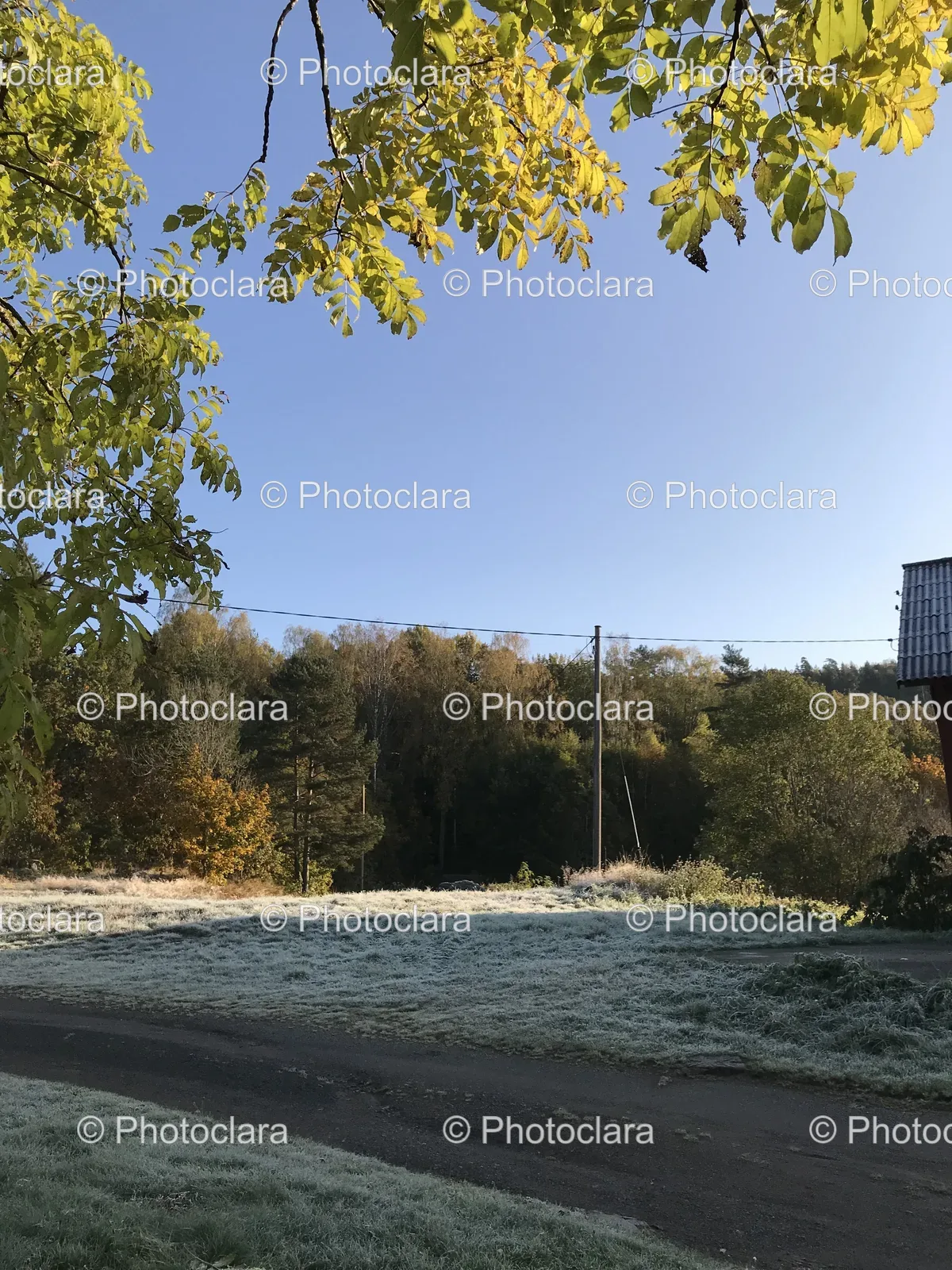 autumn-grass-field-trees-building.jpg