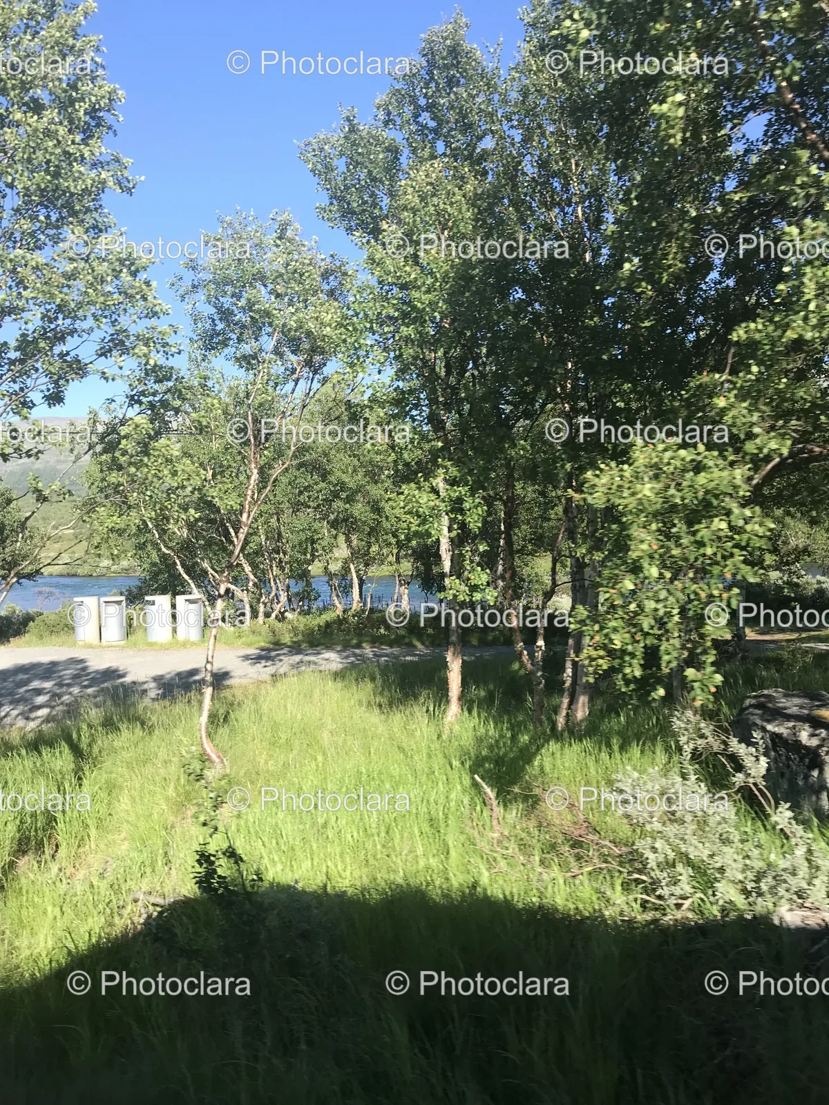 peaceful-park-grass-trees-lake.jpg