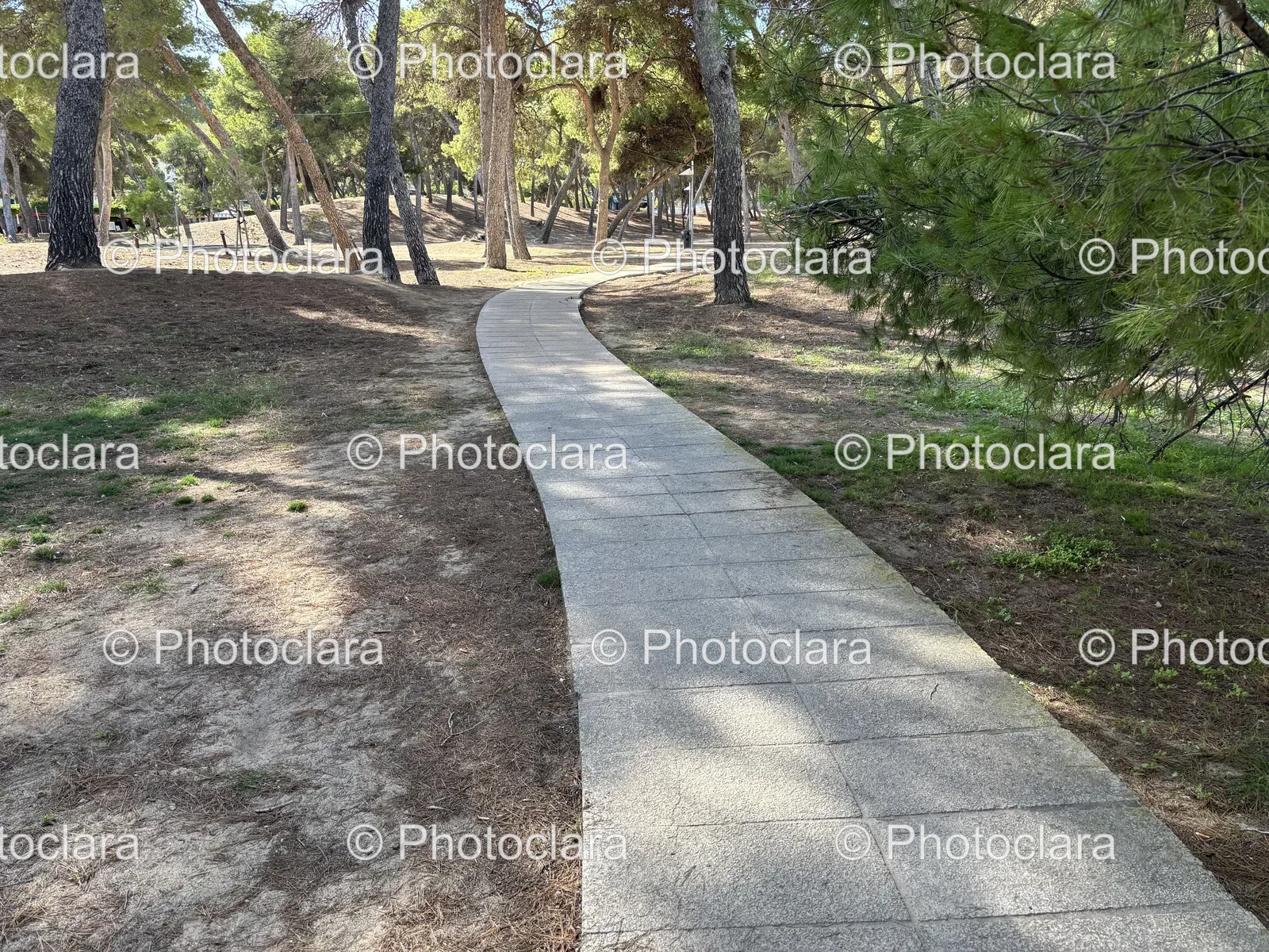 Peaceful-Park-Pathway.jpg